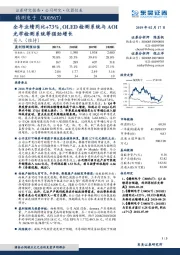 全年业绩同比+73%，OLED检测系统与AOI光学检测系统等强劲增长