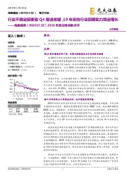 2018年度业绩快报点评：行业不确定因素致Q4增速放缓，19年安防行业回暖助力稳定增长