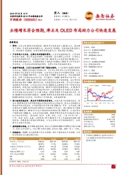 业绩增长符合预期,沸石及OLED布局助力公司快速发展