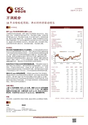 18年业绩略超预期，沸石材料将驱动增长