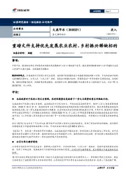 重磅文件支持优先发展农业农村，乡村振兴稀缺标的