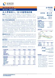 加大营销投入，Q4业绩增速放缓