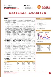 燃气集团快速成型,公司有望跨步发展