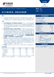 2019年1月保费收入数据点评：首月业绩创新高，持续性尚待观察