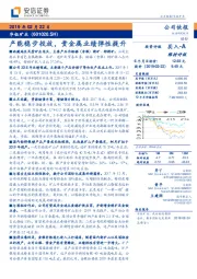 产能稳步投放，贵金属业绩弹性提升