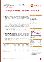 一季度略低于预期，仍然看好公司长远发展