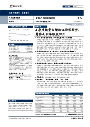 2018年业绩快报点评：4季度销量大增验证抢装趋势，静待毛利率触底回升