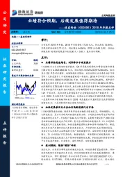 2018年年报点评：业绩符合预期，后续发展值得期待