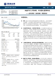 深度报告：把握平价上网机遇，布局叠瓦蓄势待发