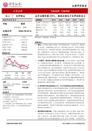 全年业绩同增239%，期待后续电子化学材料发力