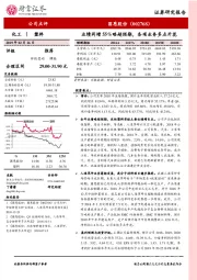 业绩同增55%略超预期，各项业务多点开花