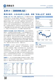 聚焦车联网、公共安全两大主航道，深耕“终端+应用”物联网