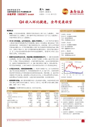 Q4收入环比提速，全年完美收官