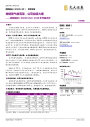 2018年年报点评：禽链景气度高涨，公司业绩大增