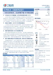 18Q4盈利承压，关注新增产能19年投放进程