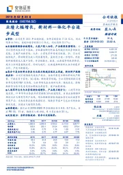 业绩大幅增长，新材料一体化平台逐步成型