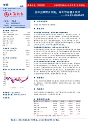 2018年业绩快报点评:全年业绩符合预期,海外市场增长良好