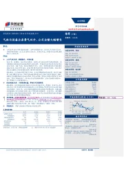 2018年业绩快报点评：气体与设备业务景气双升，公司业绩大幅增长