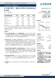 全年稳定增长，期待光学新项目落地提供成长动能