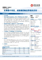 发展稳中有进,成就橡胶输送带领先企业