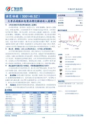 大单品战略和电商品牌化驱动收入高增长