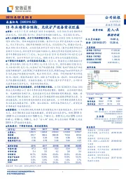 18年业绩符合预期，光伏扩产设备需求旺盛