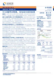 18业绩符合预期，光电龙头成长性强