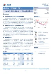 2018年保持快速成长，多元化业务进展顺利