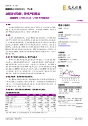 2018年年报点评：业绩增长稳健，静候产能释放