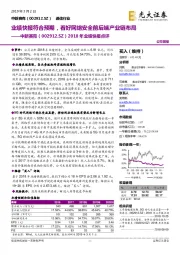 2018年业绩快报点评:业绩快报符合预期,看好网络安全前后端产业链布局