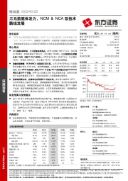 三元前驱体发力，NCM&NCA双技术路线发展