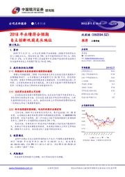 2018年业绩符合预期 自主创新巩固龙头地位