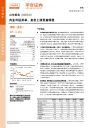 内生外延并举，金价上涨受益明显