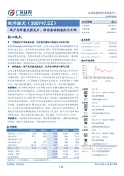 国产光纤激光器龙头，推动高端制造技术升级