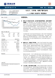 深度报告：大尺寸，大市场，迎国产替代东风