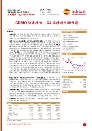 2018年年报点评：CDMO快速增长，Q4业绩超市场预期