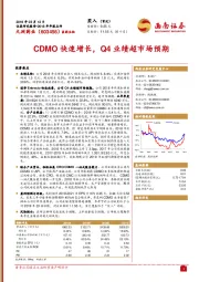 2018年年报点评:CDMO快速增长,Q4业绩超市场预期