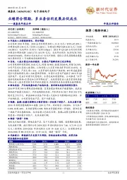 璞泰来年报点评：业绩符合预期，多业务协同发展共促成长