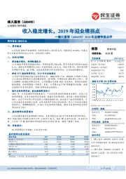 2018年业绩快报点评：收入稳定增长，2019年迎业绩拐点