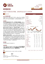 2018年业绩符合预期，持续布局天然气上游资源