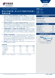 深度研究报告：乘自主可控之风，本土大尺寸偏光片龙头进入高速成长期