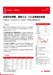 年报及一季报业绩预告点评：业绩符合预期，围绕C3、C2业务稳步发展