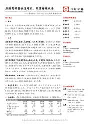 2018年年度报告点评:原料药销售快速增长,经营持续改善