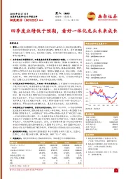 四季度业绩低于预期，看好一体化龙头未来成长