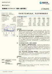 汽车电子自动化龙头,内生外延快速成长
