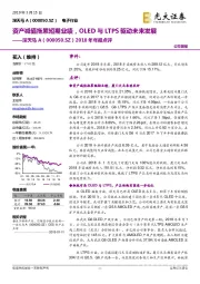 2018年年报点评:资产减值拖累短期业绩,OLED与LTPS驱动未来发展