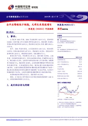 年报跟踪：全年业绩略低于预期，无碍未来高速增长