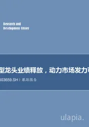 跟踪报告：锂电平台型龙头业绩释放，动力市场发力可期