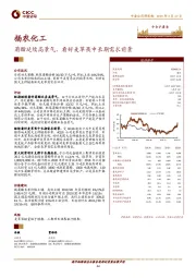 菊酯延续高景气，看好麦草畏中长期需求前景