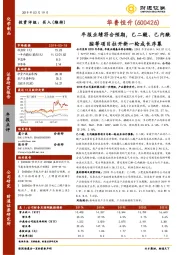 年报业绩符合预期，己二酸、己内酰胺等项目拉开新一轮成长序幕